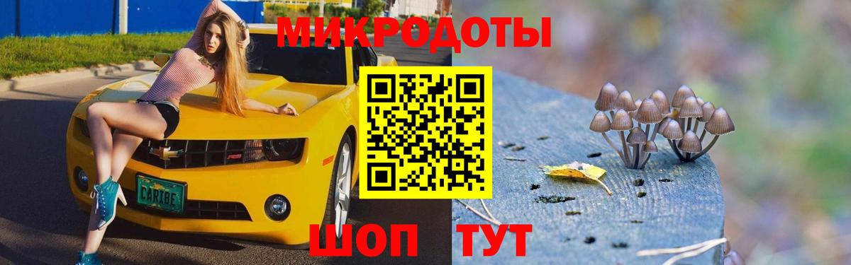 Галлюциногенные грибы Cubensis Ессентуки